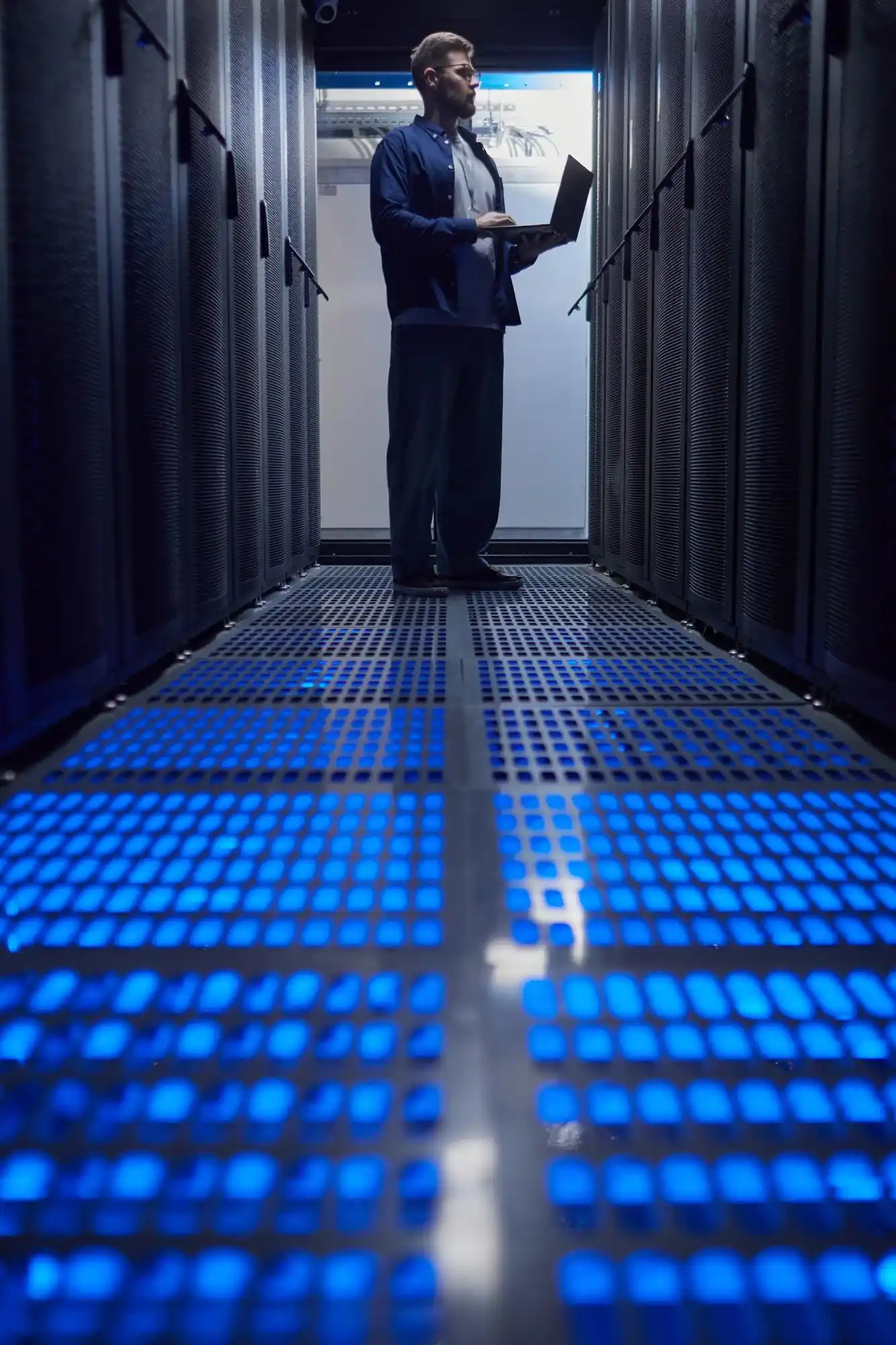 Blooming Perspectives feature image 2